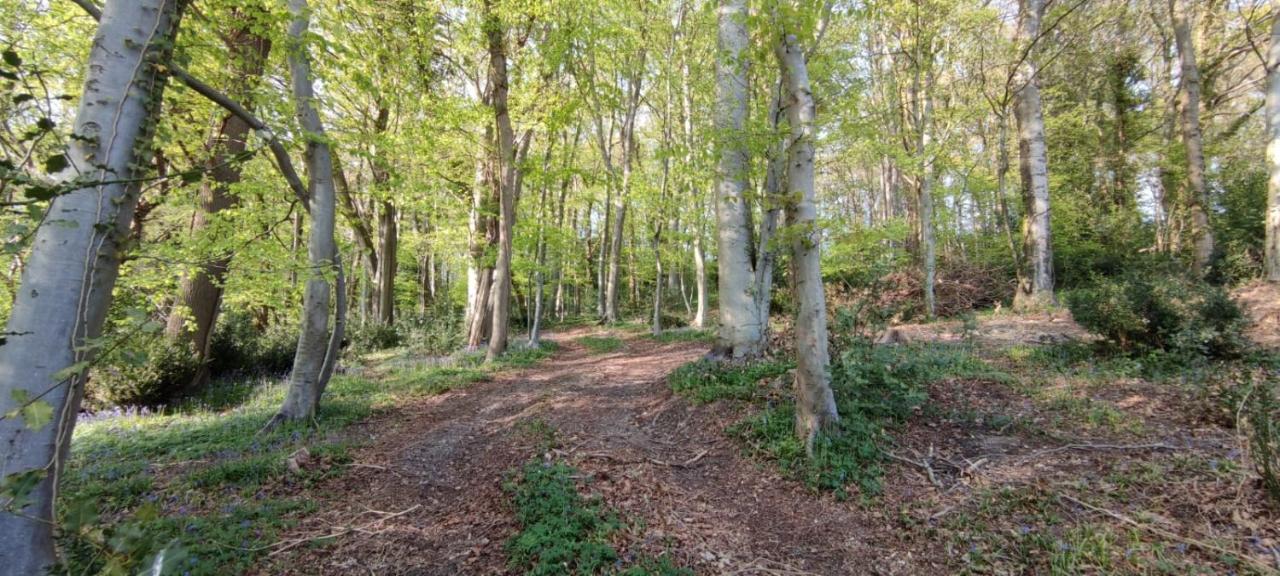 Gites 4,6 Personnes Fecamp Etretat Colleville Dış mekan fotoğraf